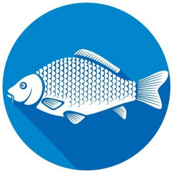 Карась логотип