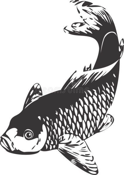 Рыба Карп в векторе