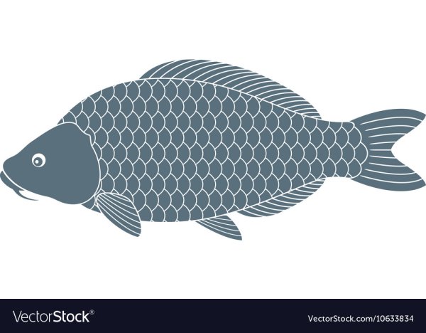 Сазан Карп трафарет