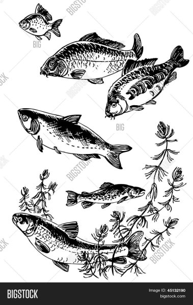 Рыба под водой вектор