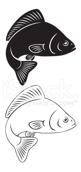 Рыба карась силуэт