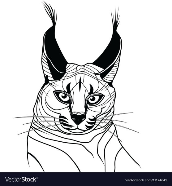 Каракал тату скетч