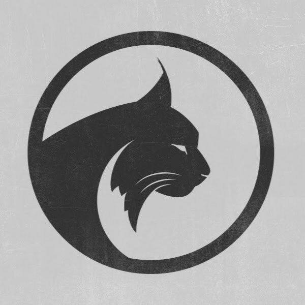 Каракал, пустынная Рысь