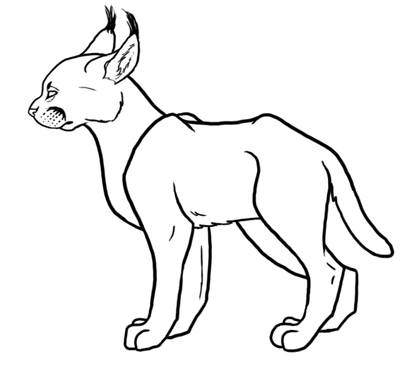 Каракал мультяшный