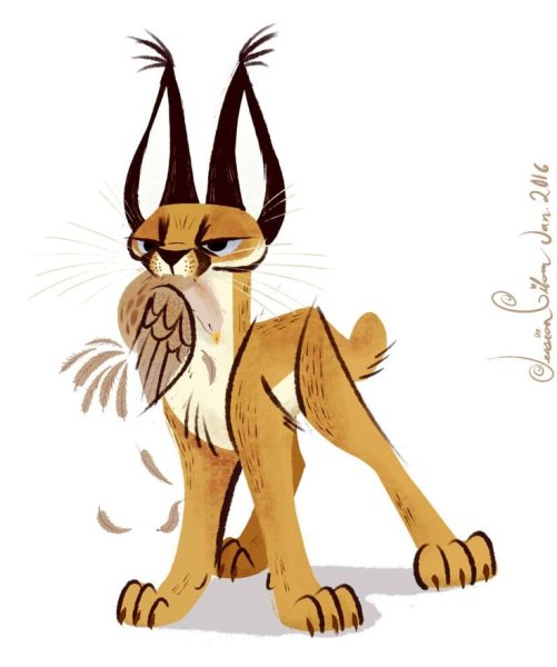 Каракал, пустынная Рысь