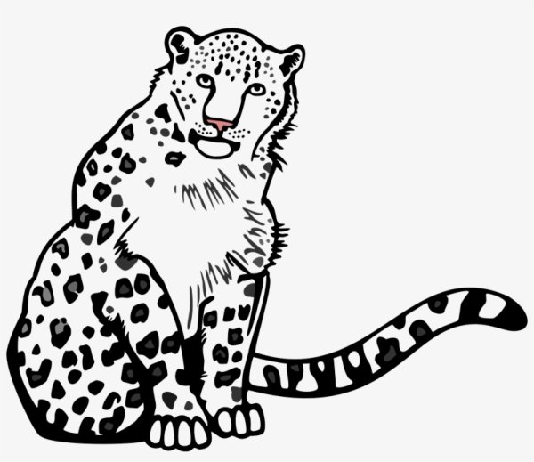 Снежный Барс Ирбис