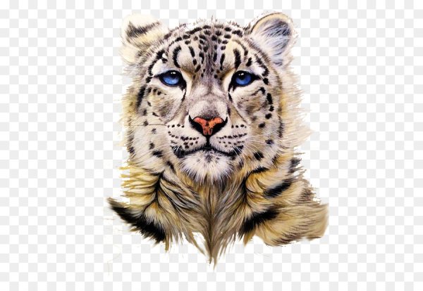 Морды животных на белом фоне