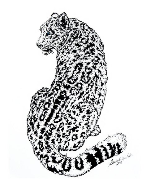 Графическое изображение леопарда