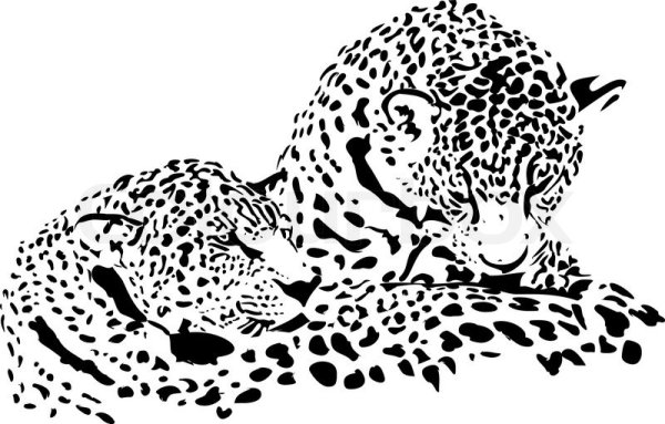 Леопард черно белый силуэт
