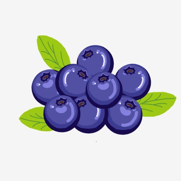 Голубика вектор