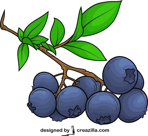 Голубика Графика