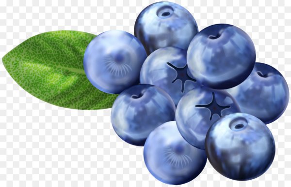 Голубика без фона