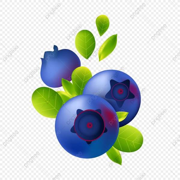 Черника мультяшный