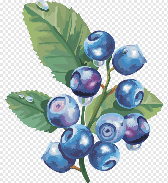 Черника мультяшная