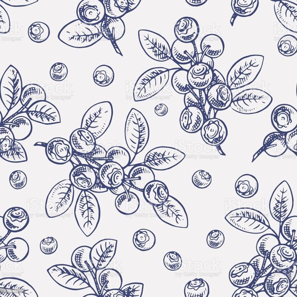 Черника паттерн