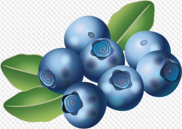 Голубика вектор