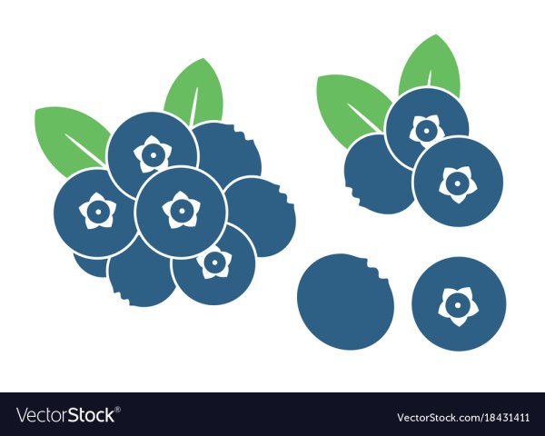 Голубика иконка