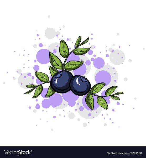 Голубика вектор