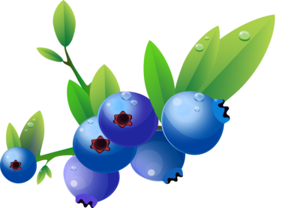 Голубика мультяшная