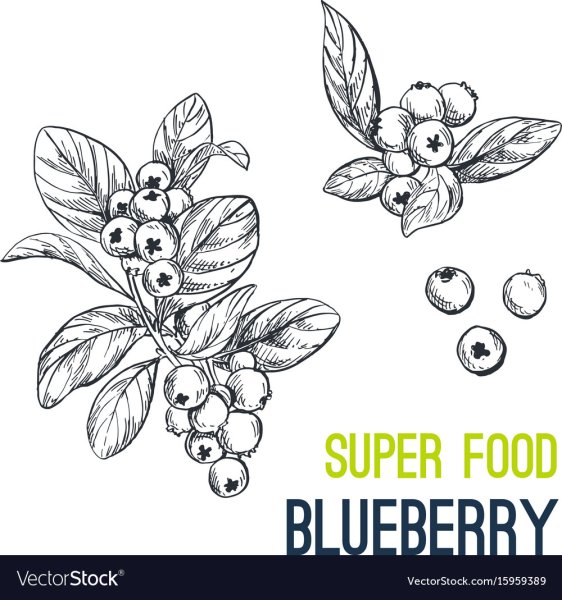 Брусника Графика