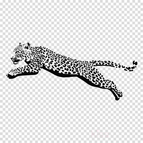 Леопард в прыжке силуэт