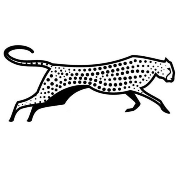 Гепард вектор