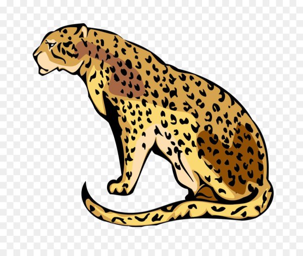 Векторный гепард