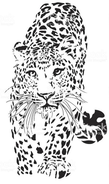 Трафарет леопарда