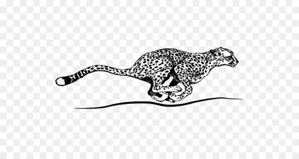 Гепард бежит очертания