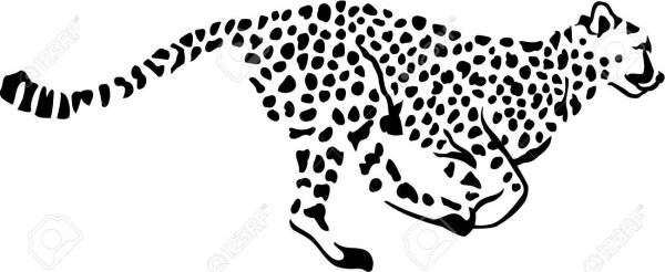 Графический символ гепард