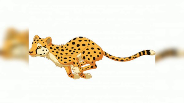 Леопард для детей