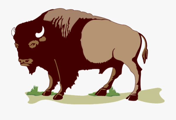 ЗУБР для детей мультяшный