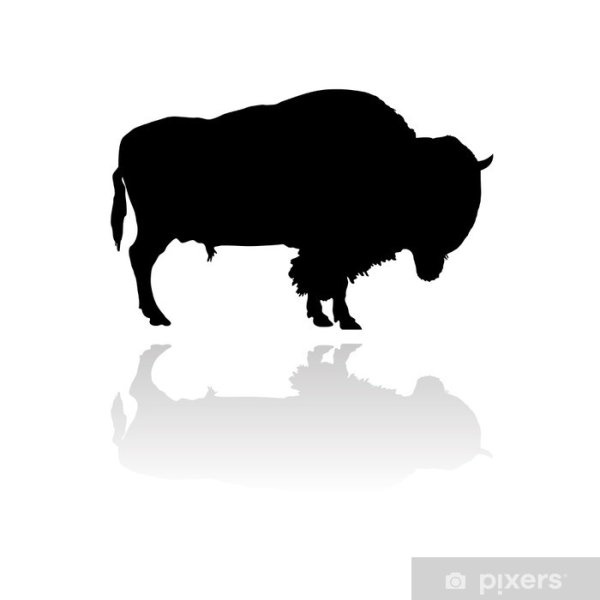 Бизон силуэт вектор