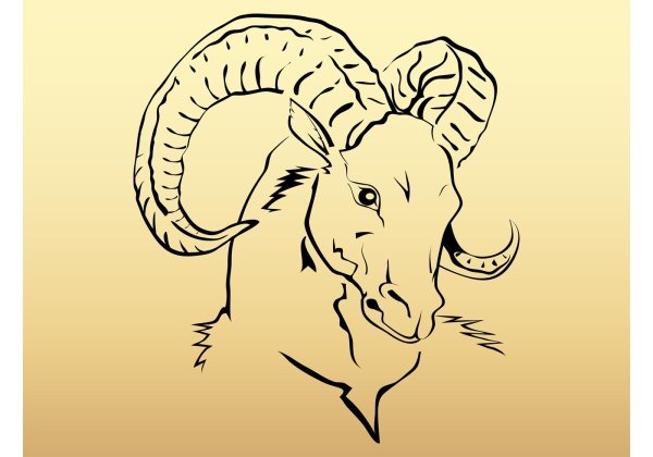 Голова овна