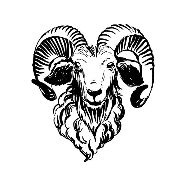 Голова барана эскиз