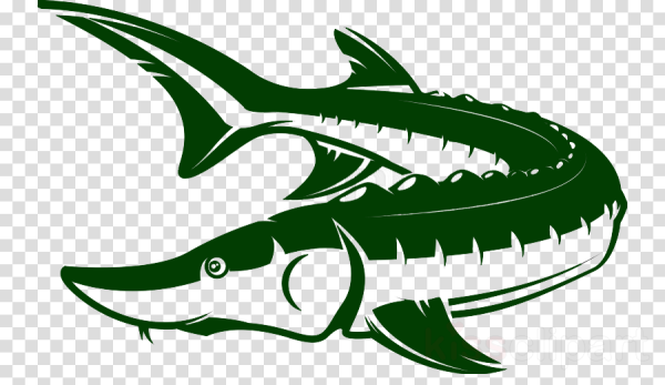 Осетр силуэт