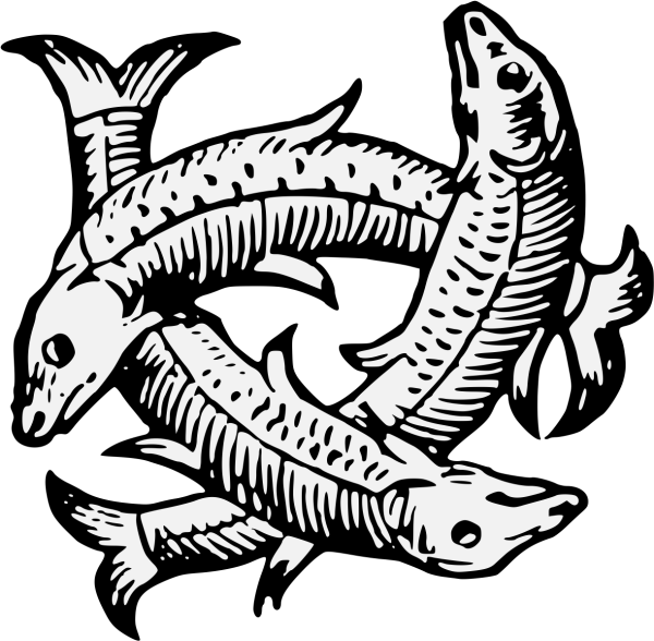 Осетровые вектор