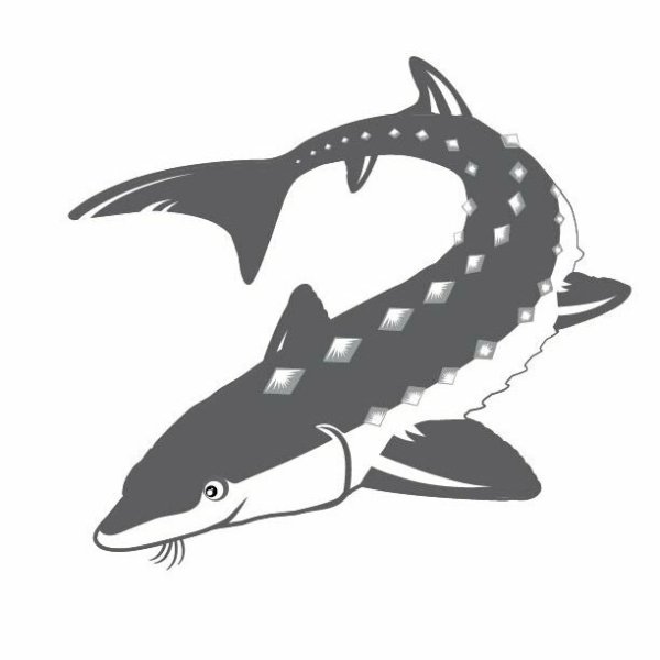 Осетр силуэт