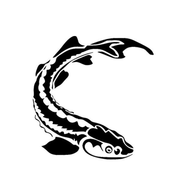 Осетр логотип