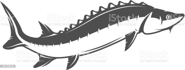 Осетр силуэт