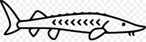 Стерлядь логотип