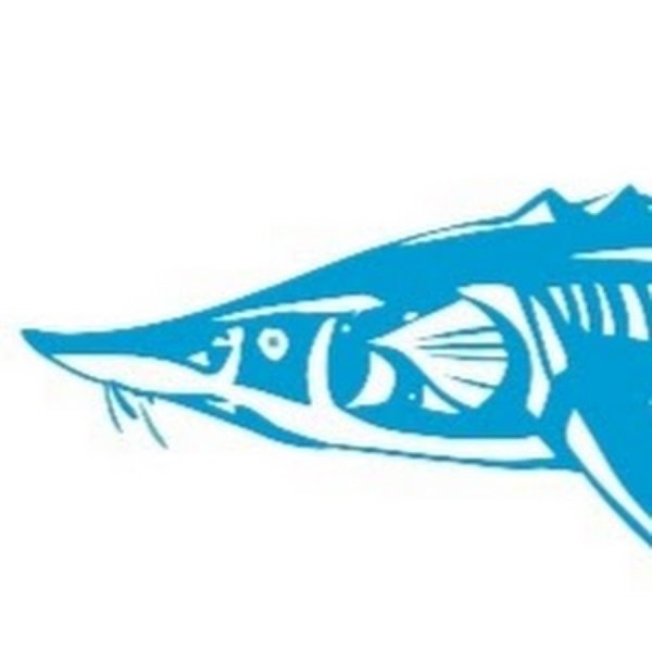 Осетр Графика