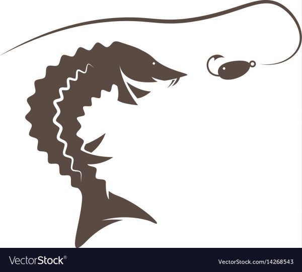 Трафарет осетра