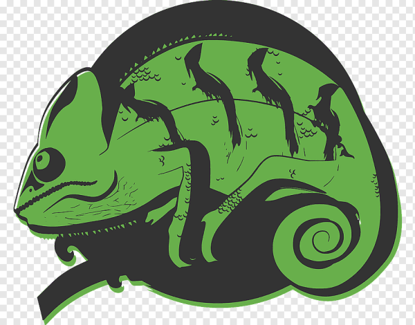 Хамелеон векторное изображение