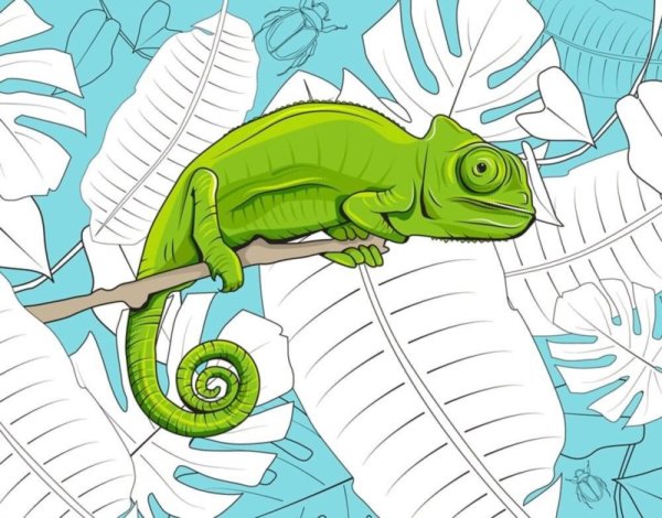 Нарисовать хамелеона