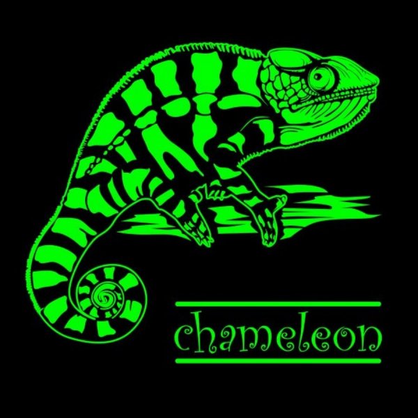 Хамелеон логотип