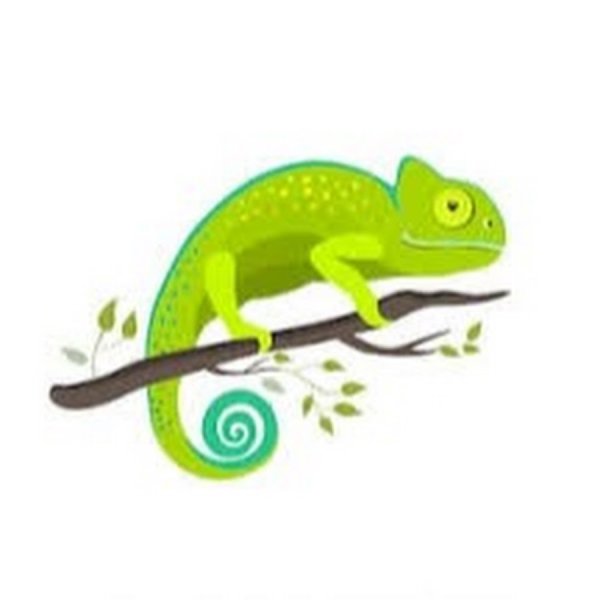 Символика хамелеона