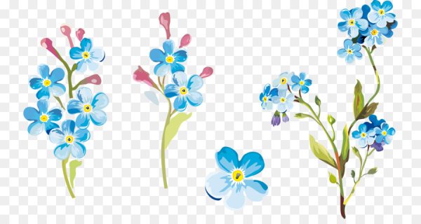 Незабудка цветок вектор