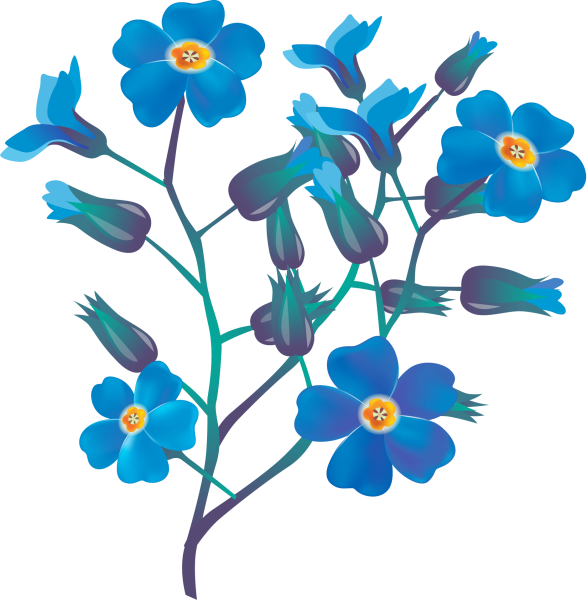 Цветок Незабудка для детей