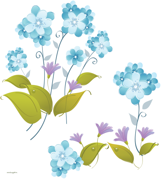 Незабудки векторный клипарт